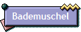 Bademuschel