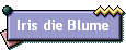 Iris die Blume